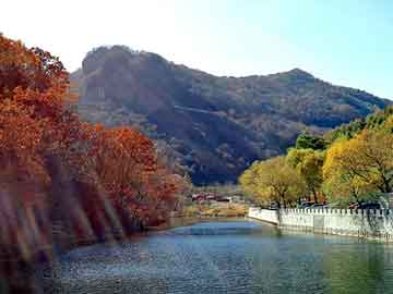 正新澳门二四六天天彩，景程论坛